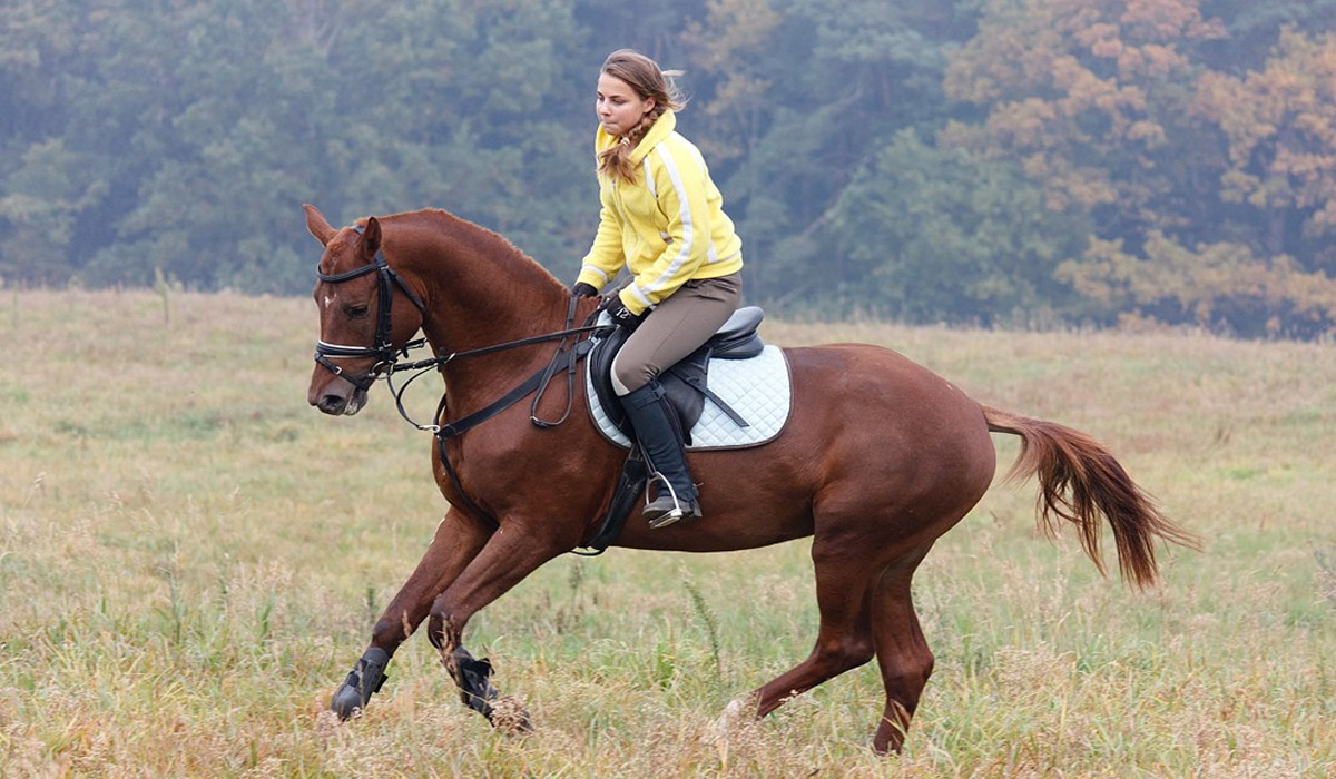 Horse Riding Tips